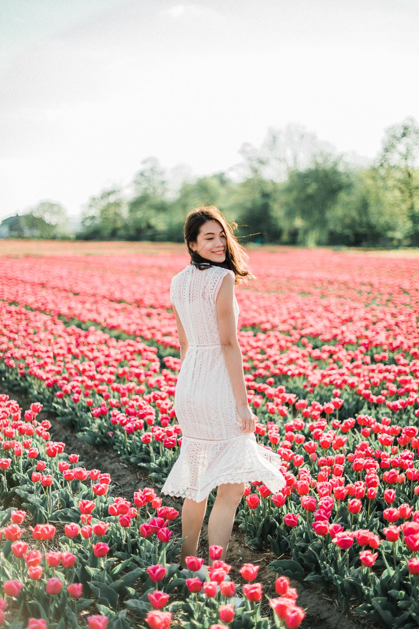 Proposal photographer Amsterdam Flower Fields